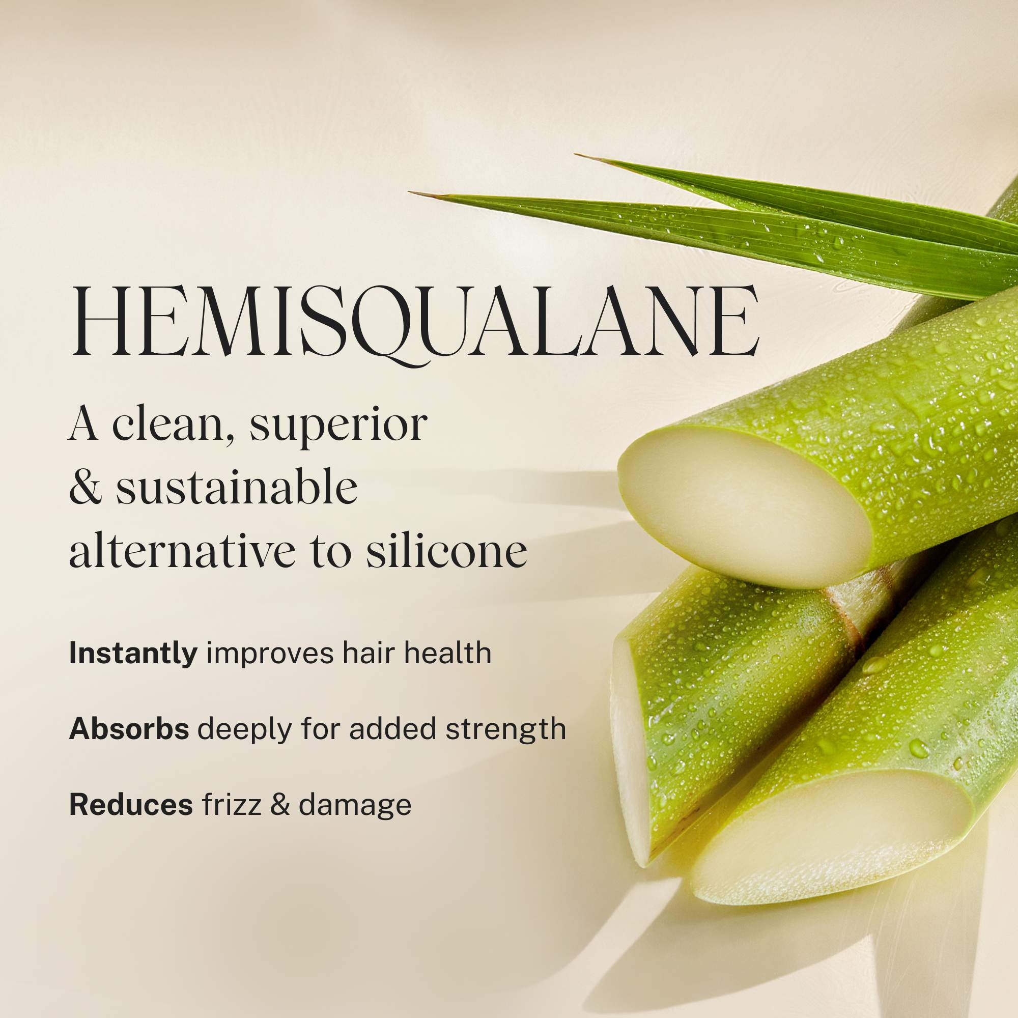 Nurture Hydrating Conditioner - Image 7